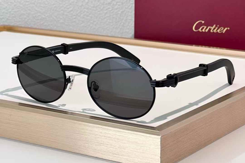 CT0464S Sunglasses Black Gray