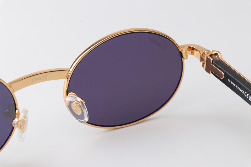 CT0464S Sunglasses Gold Black Wood Gray