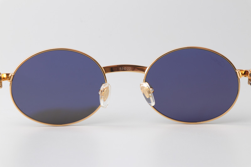CT0464S Sunglasses Gold Black Wood Gray