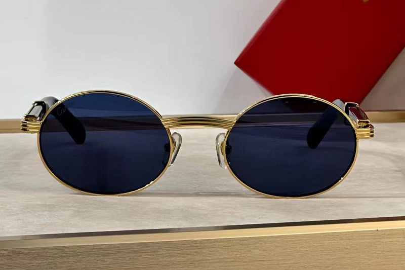 CT0464S Sunglasses Gold Blue Blue