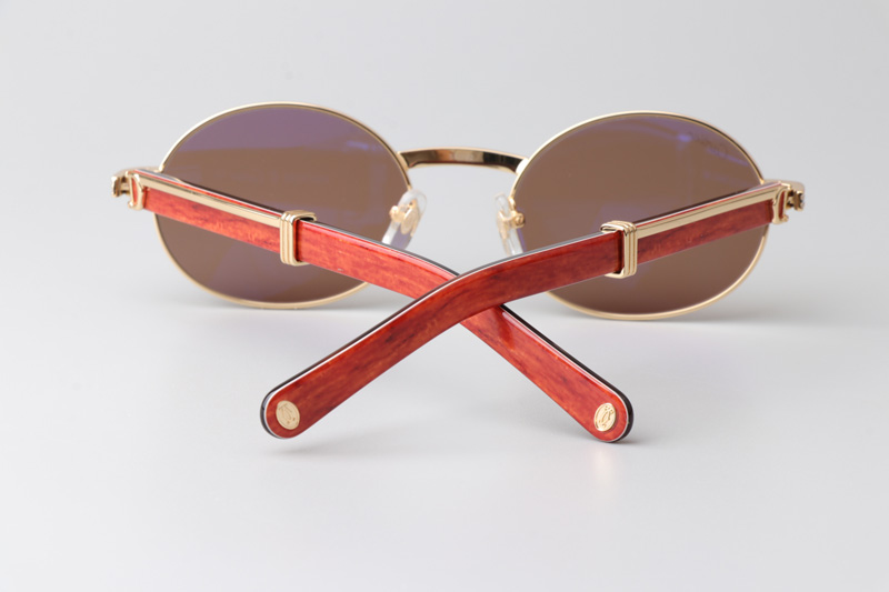 CT0464S Sunglasses Gold Red Brown