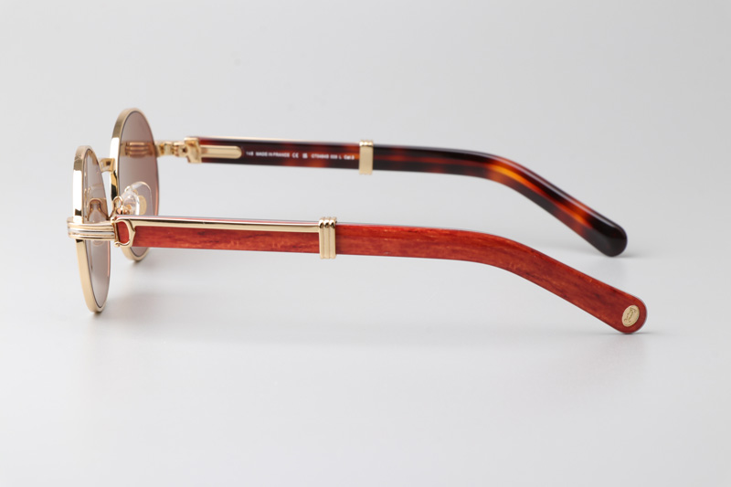 CT0464S Sunglasses Gold Red Brown