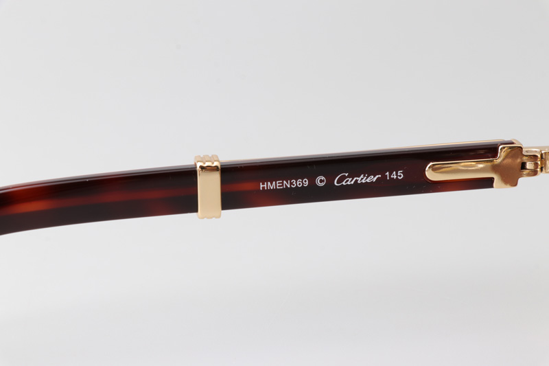 CT0464S Sunglasses Gold Red Brown