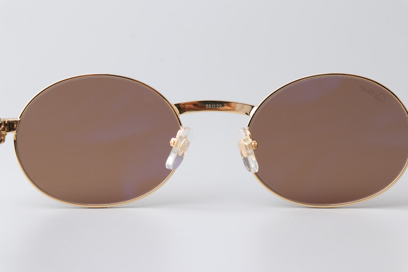 CT0464S Sunglasses Gold Red Brown