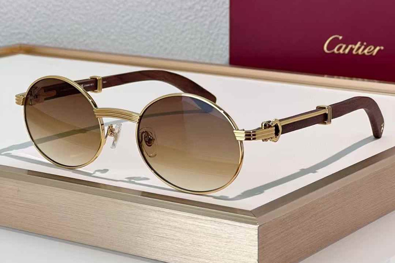 CT0464S Sunglasses Gold Red Gradient Brown