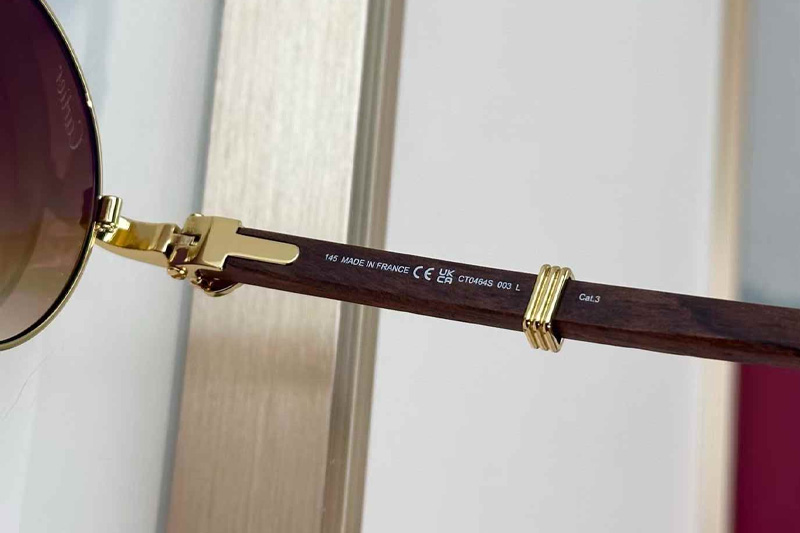 CT0464S Sunglasses Gold Red Gradient Brown