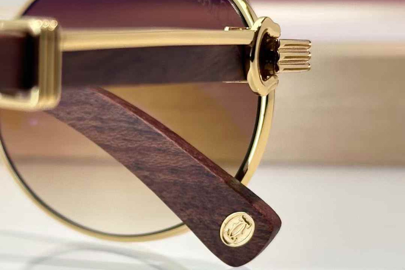 CT0464S Sunglasses Gold Red Gradient Brown