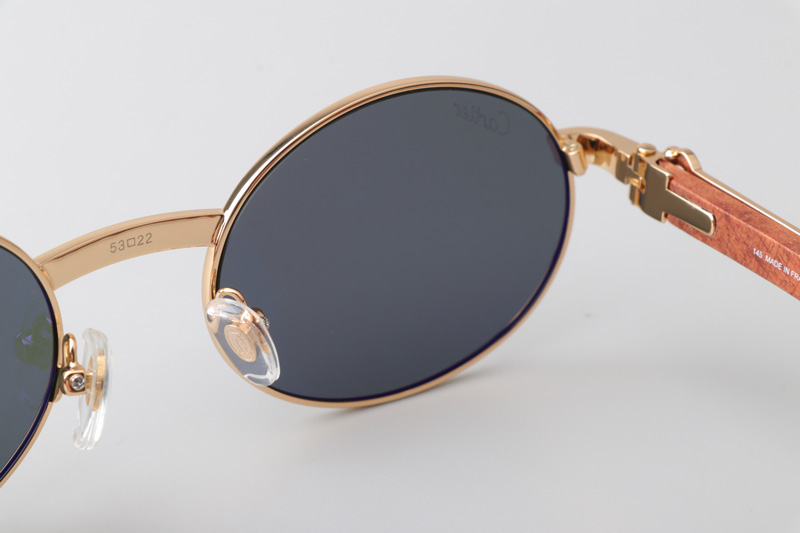 CT0464S Sunglasses Gold Red Green