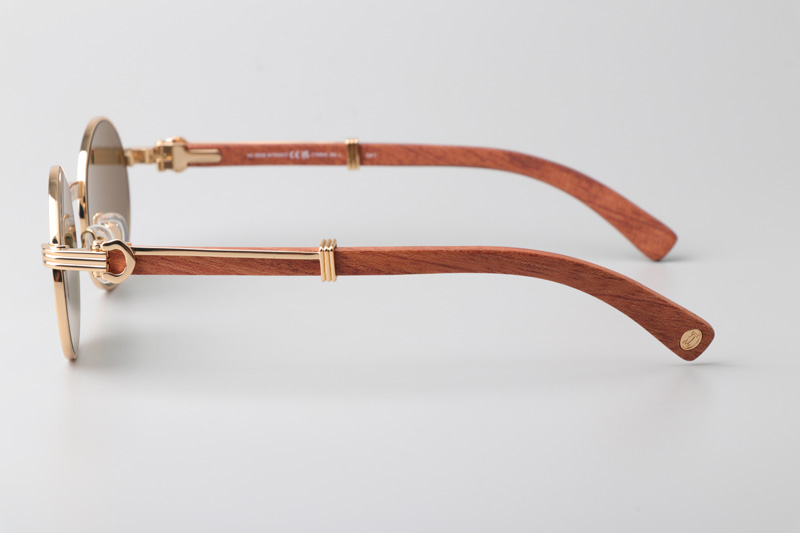 CT0464S Sunglasses Gold Red Green