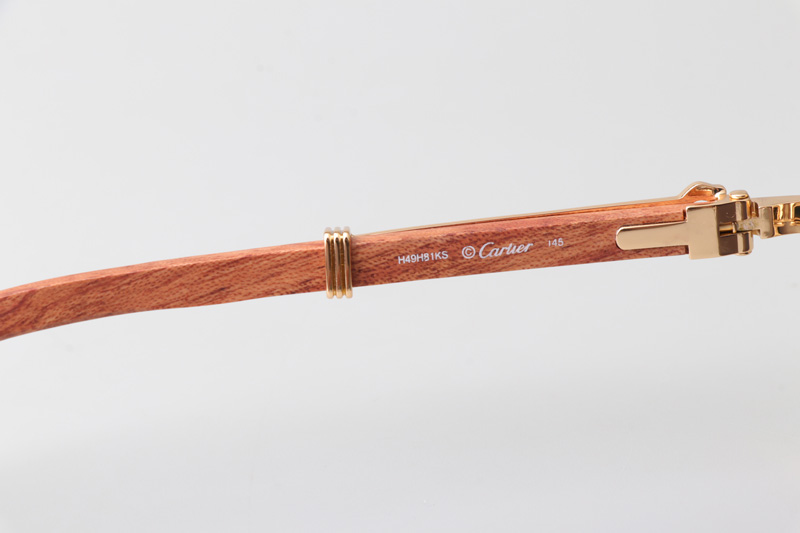 CT0464S Sunglasses Gold Red Green