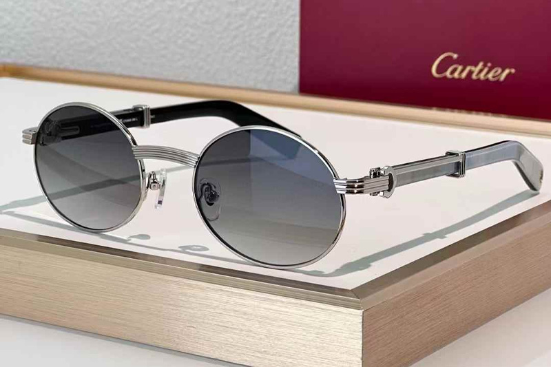 CT0464S Sunglasses Silver Gray Gradient Gray