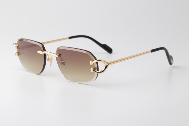 CT0468S Sunglasses Gold Gradient Brown