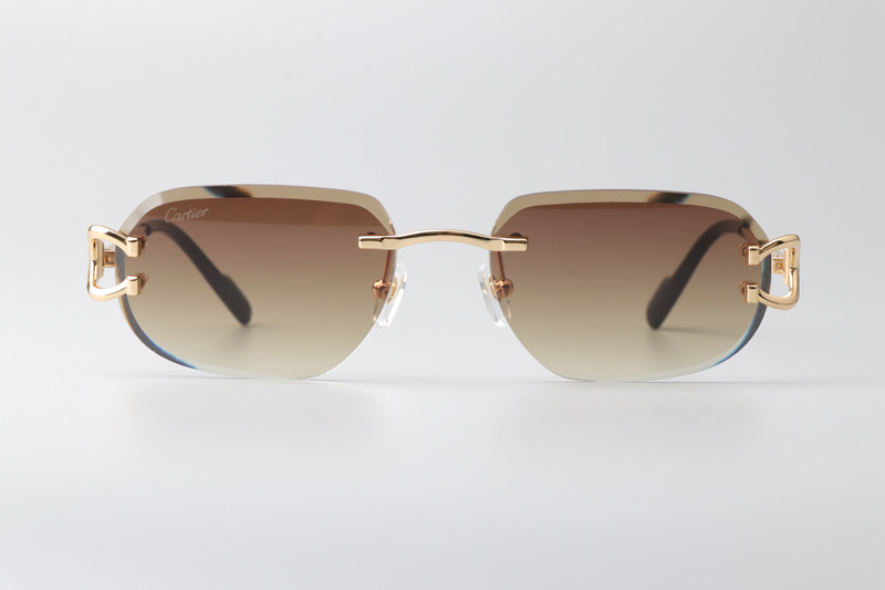 CT0468S Sunglasses Gold Gradient Brown