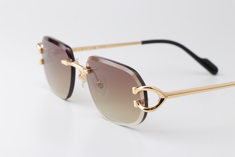 CT0468S Sunglasses Gold Gradient Brown