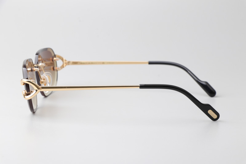 CT0468S Sunglasses Gold Gradient Brown