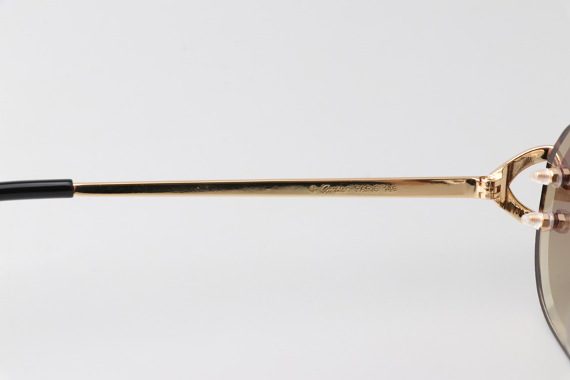 CT0468S Sunglasses Gold Gradient Brown