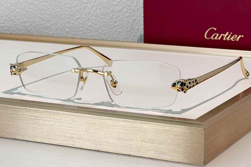 CT0474S Eyeglasses Gold