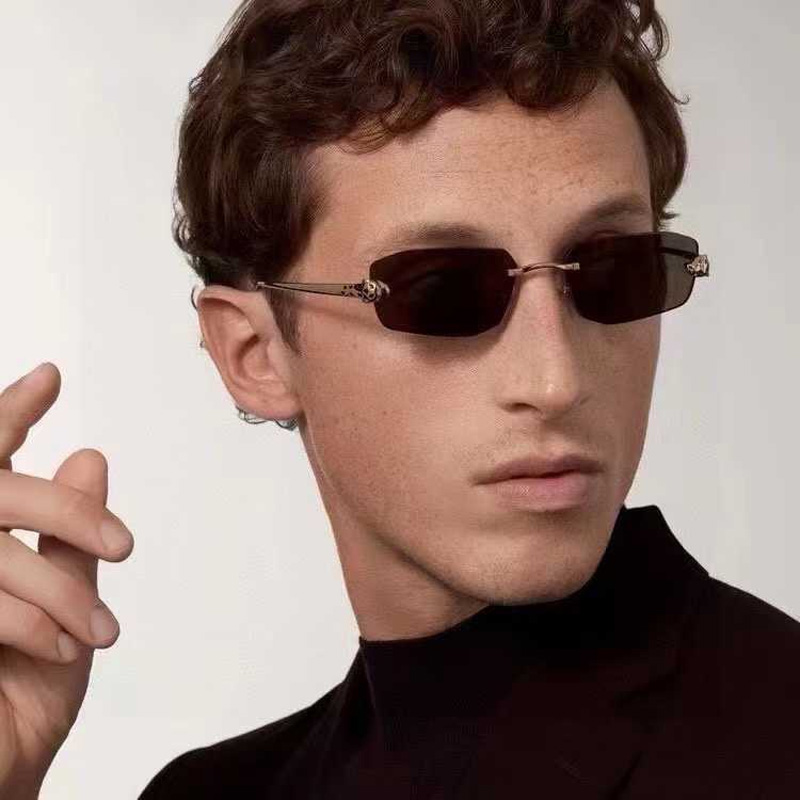 CT0474S Sunglasses Gold Brown