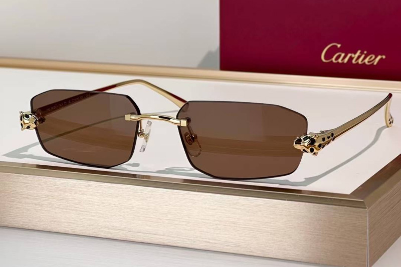 CT0474S Sunglasses Gold Brown