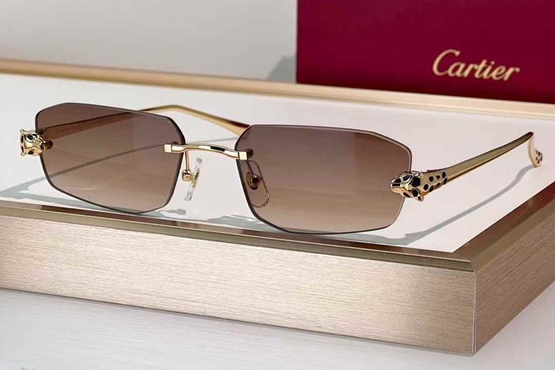 CT0474S Sunglasses Gold Gradient Brown