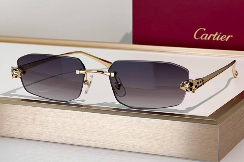 CT0474S Sunglasses Gold Gradient Gray