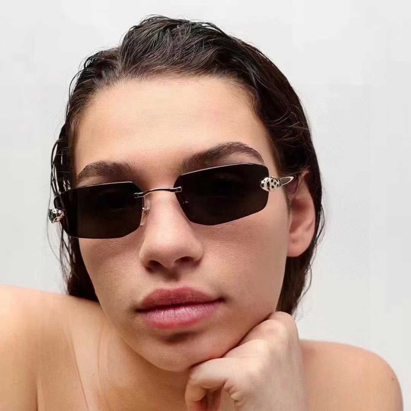 CT0474S Sunglasses Gold Gray