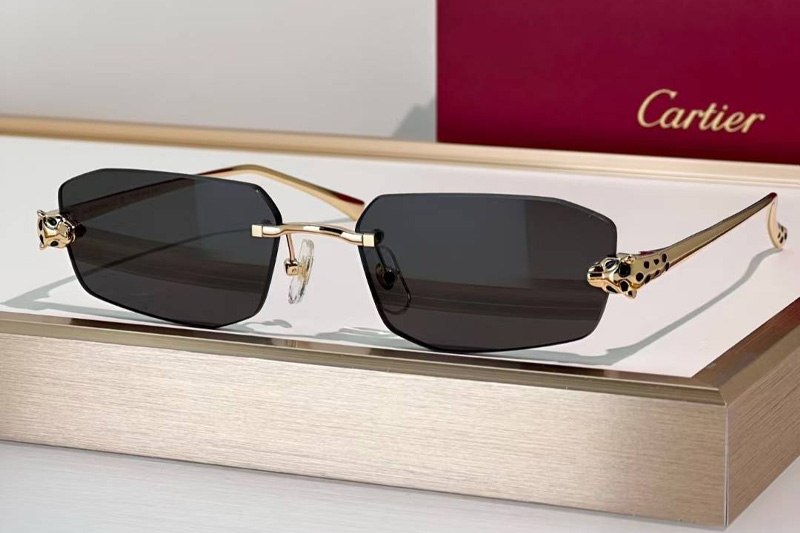 CT0474S Sunglasses Gold Gray