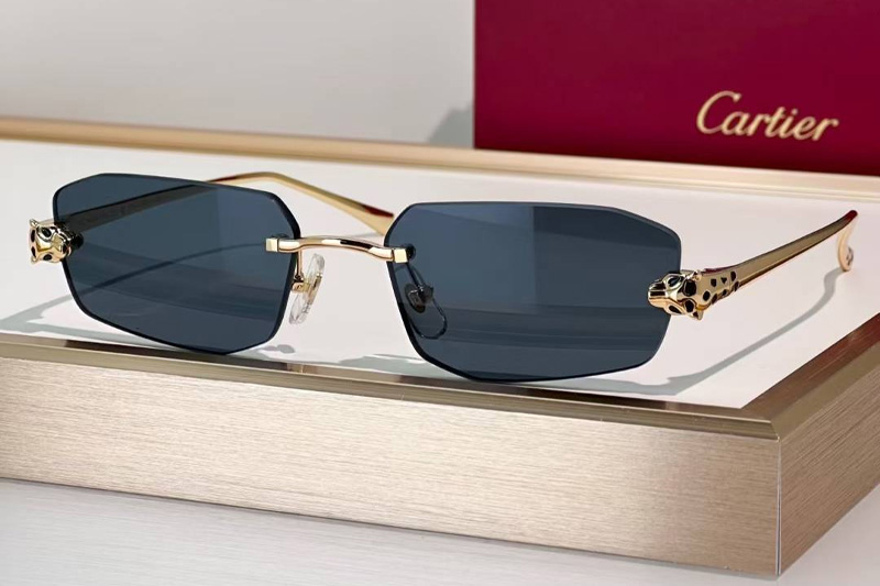 CT0474S Sunglasses Gold Green