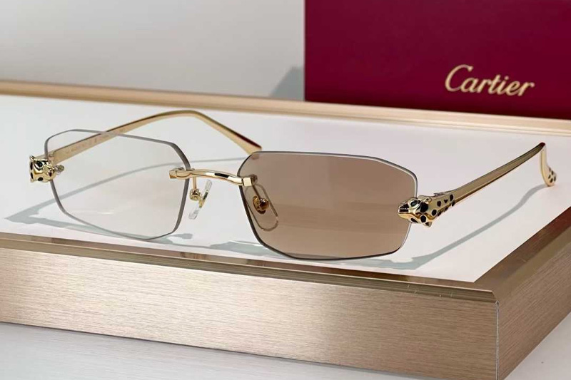 CT0474S Sunglasses Gold Photochromic Brown