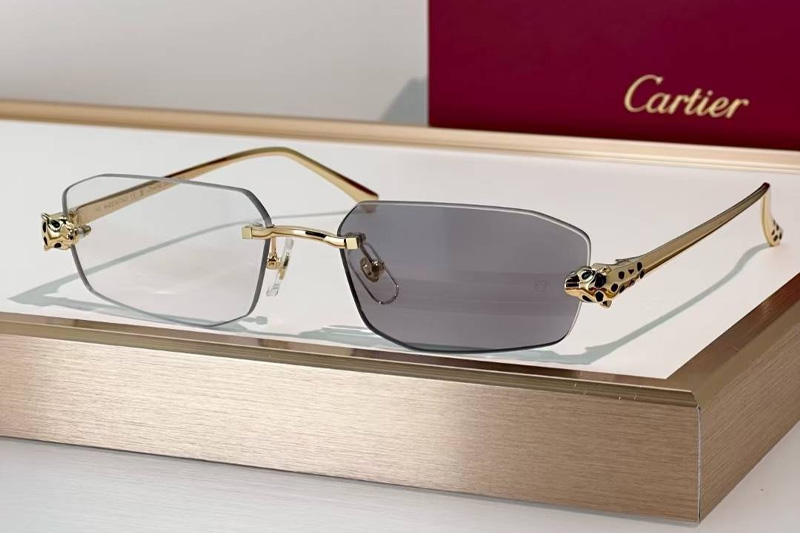 CT0474S Sunglasses Gold Photochromic Gray