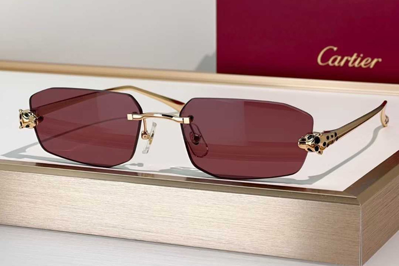 CT0474S Sunglasses Gold Red