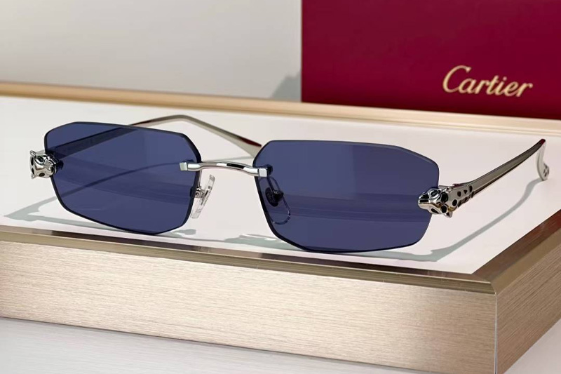 CT0474S Sunglasses Silver Blue