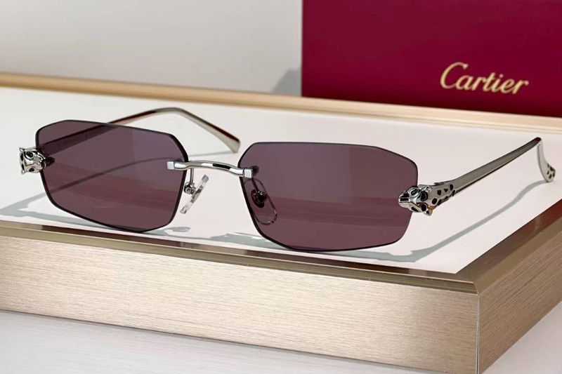CT0474S Sunglasses Silver Red