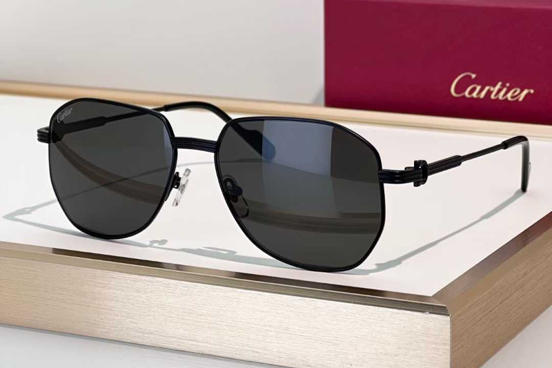 CT0484O Sunglasses Black Gray