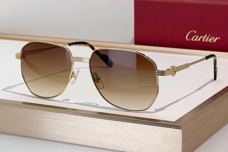 CT0484O Sunglasses Gold Gradient Brown