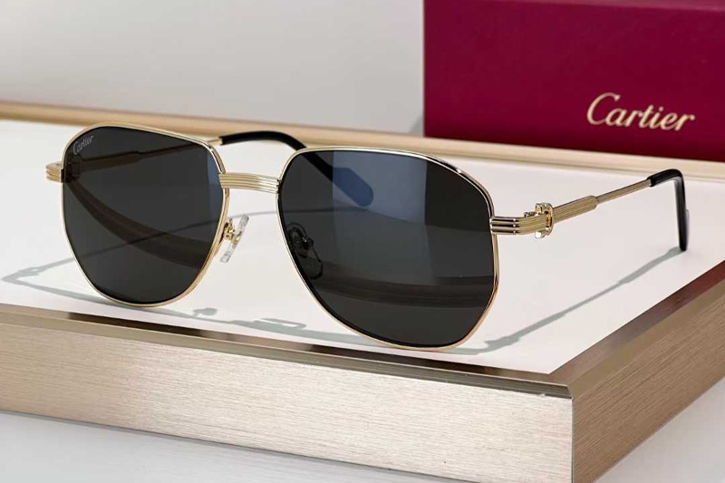 CT0484O Sunglasses Gold Gray