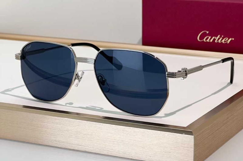 CT0484O Sunglasses Silver Blue
