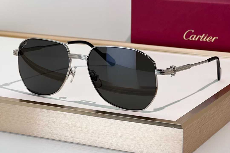 CT0484O Sunglasses Silver Gray