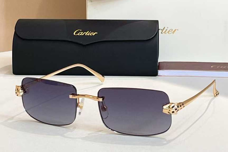 CT0495O Sunglasses Gold Gradient Gray