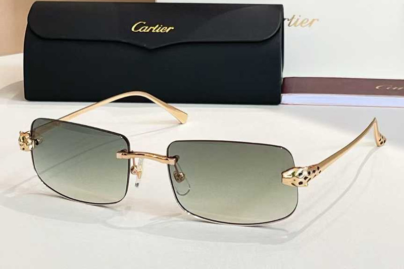 CT0495O Sunglasses Gold Gradient Green