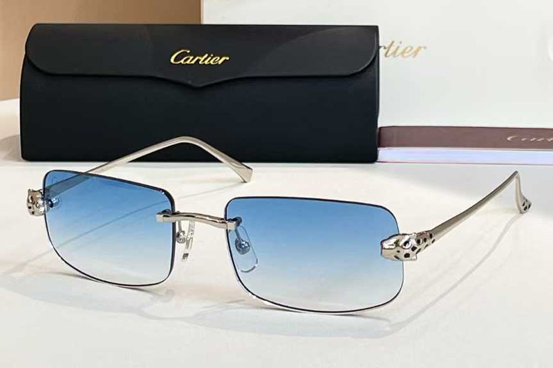 CT0495O Sunglasses Silver Gradient Blue