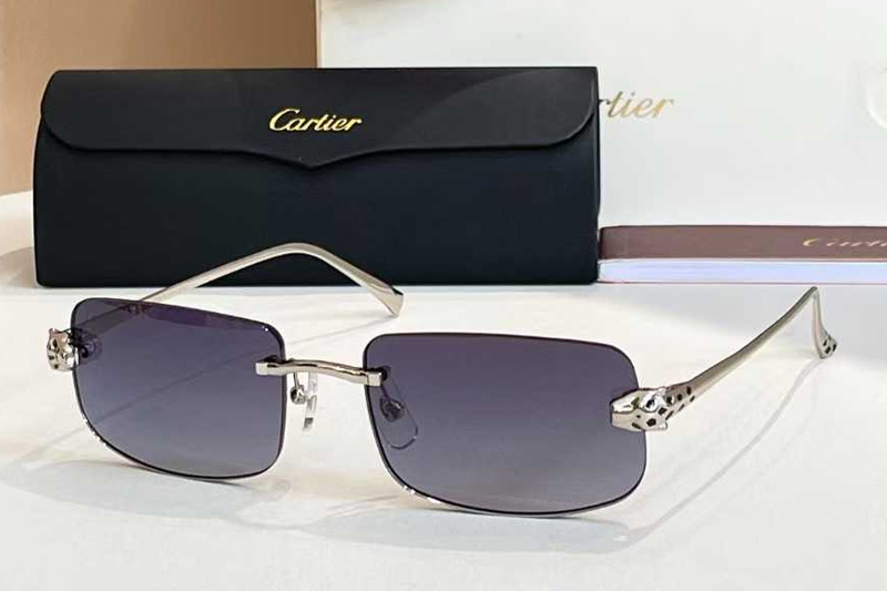 CT0495O Sunglasses Silver Gradient Gray