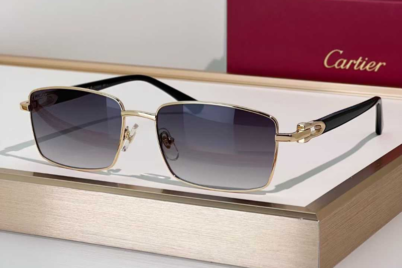 CT0520O Sunglasses Gold Gradient Gray