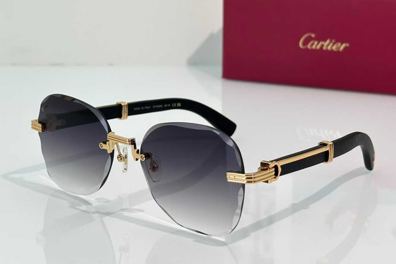 CT0520S Sunglasses Gold Black Gradient Gray