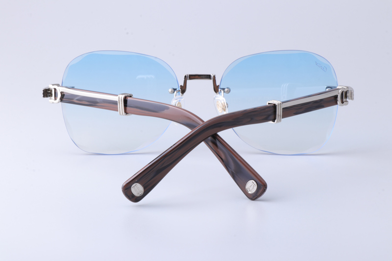 CT0520S Sunglasses Silver Gradient Blue