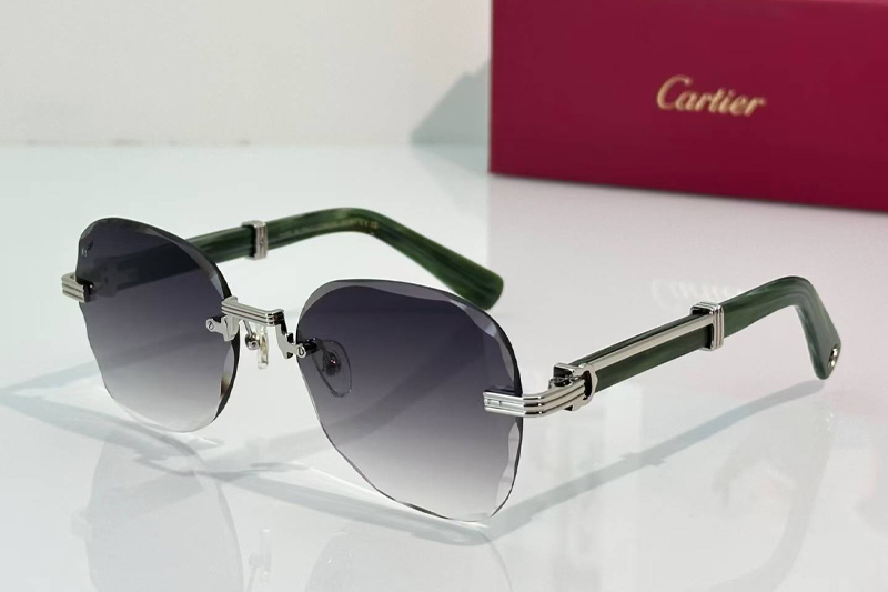 CT0520S Sunglasses Silver Green Gradient Gray