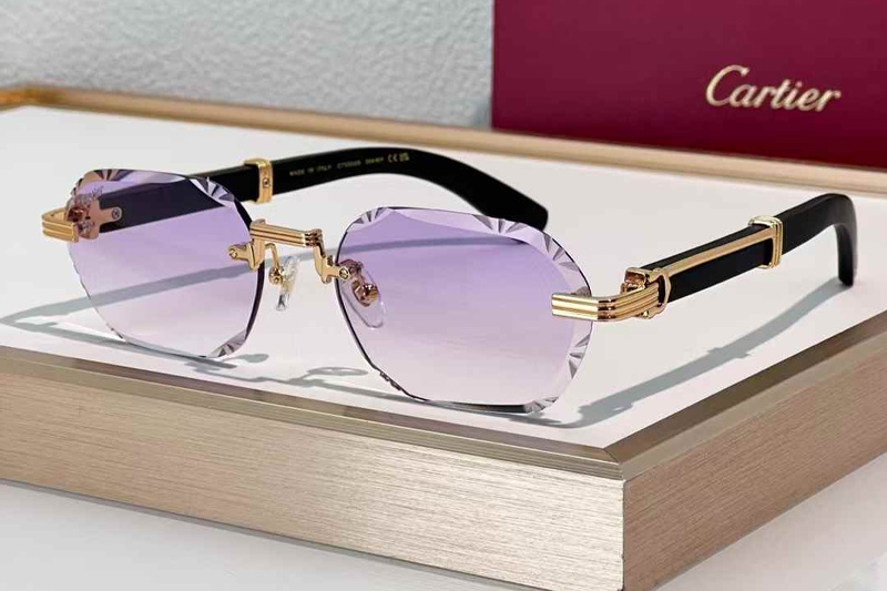CT0533S Sunglasses Gold Black Gradient Purple