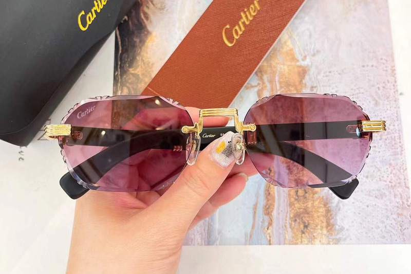 CT0533S Sunglasses Gold Black Gradient Purple