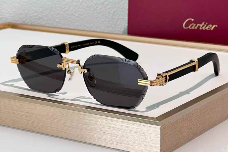 CT0533S Sunglasses Gold Black Gray