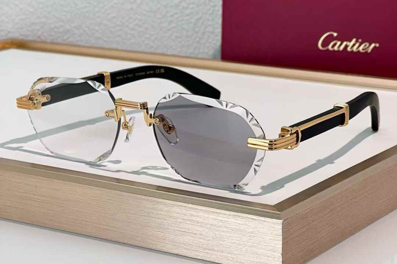 CT0533S Sunglasses Gold Black Photochromic Gray